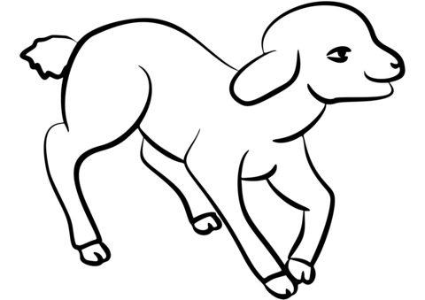 Little Lamb Coloring Page